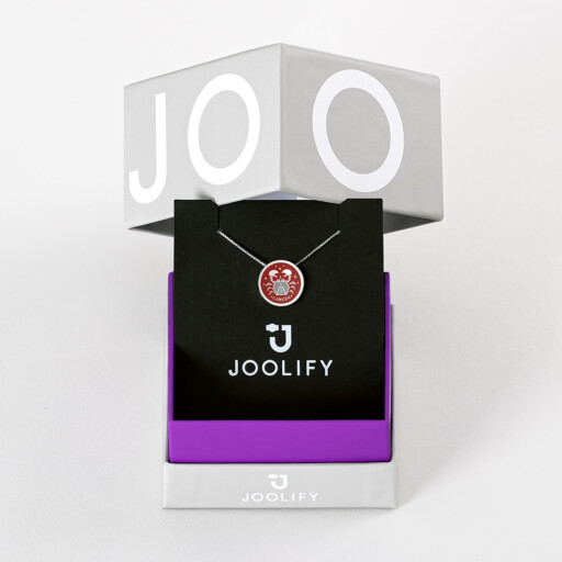 Packaging για Joolets. Κολιέ και εναλλασσόμενο κόσμημα Joollion, από επιπλατινωμένο ασήμι 925.
