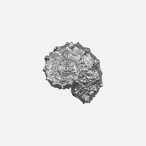 Joollion Charm Shell (Κοχύλι), ασήμι 925 επιπλατινωμένο, συμβατό με όλα τα Joolets της Joolify.